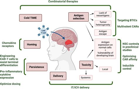 lv function treatment impacts-pediatric cancer abbreviated